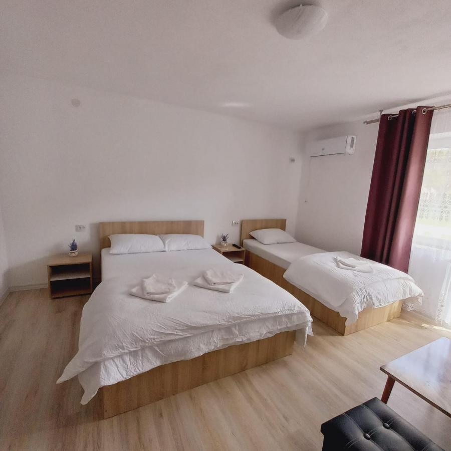 Appartement Casa Alexia à Pescari Extérieur photo