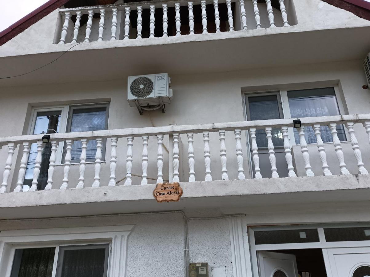Appartement Casa Alexia à Pescari Extérieur photo